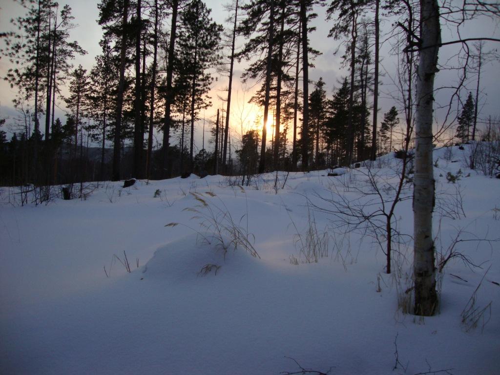 �������� �����