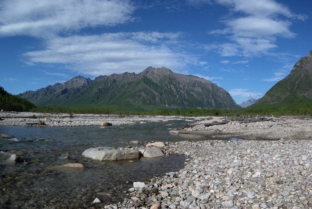 � �������� ���