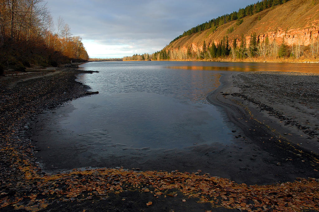 ������ ���.���� ���.����� ������ ����