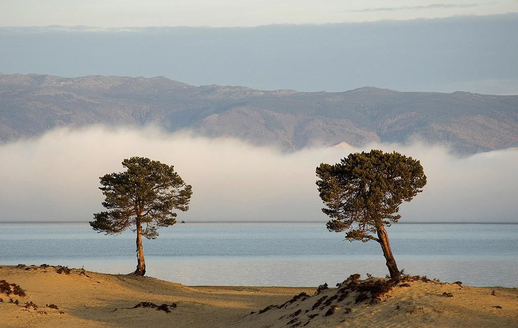 �������� �����.��������� �����.