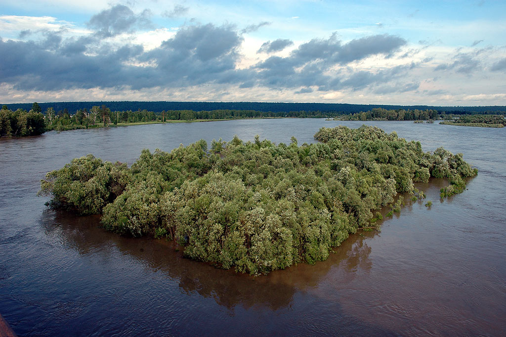 ������� ������. ���� ���.���������� ������ �������