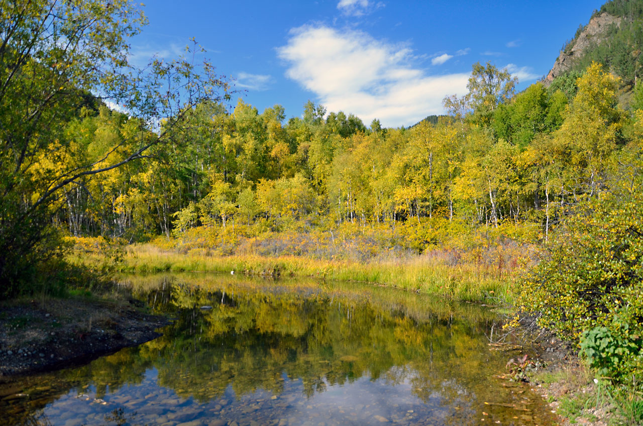 ������ ����� (�������)