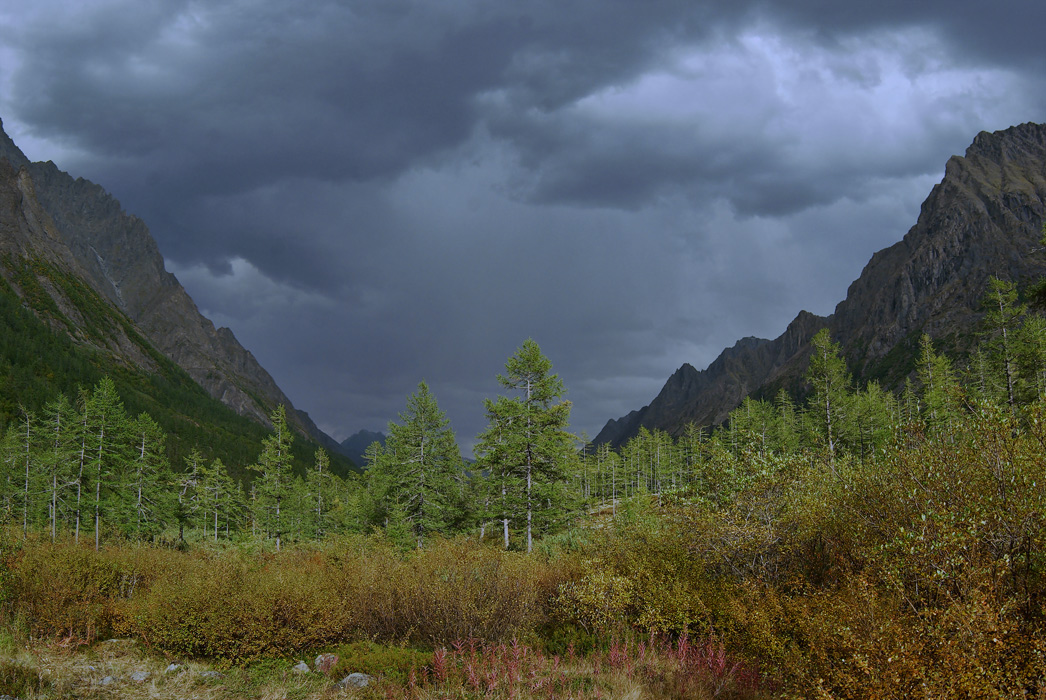 ��������� ��������