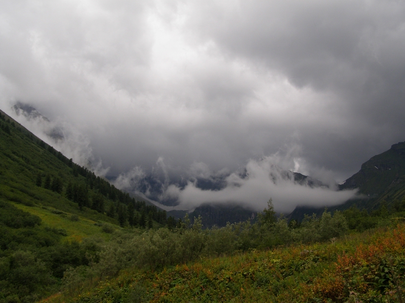 ���� ������ �����