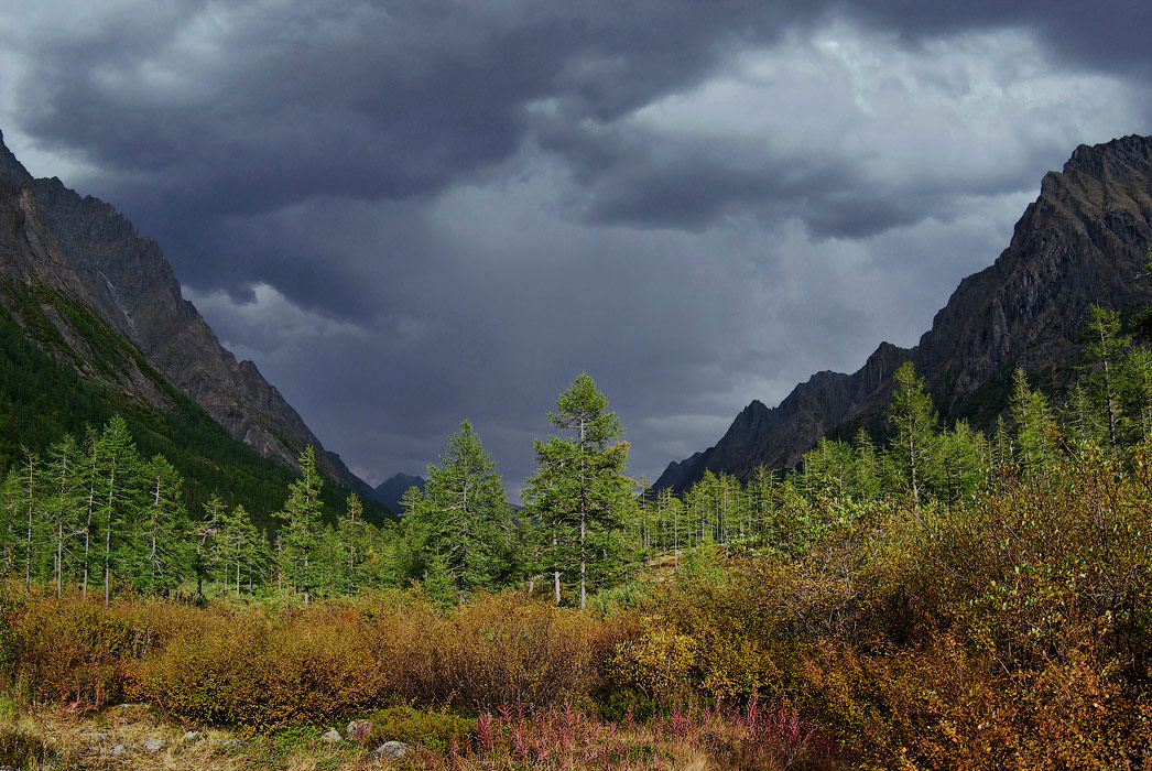 ���������� Wladimir "��������� ��������", ������ ���������