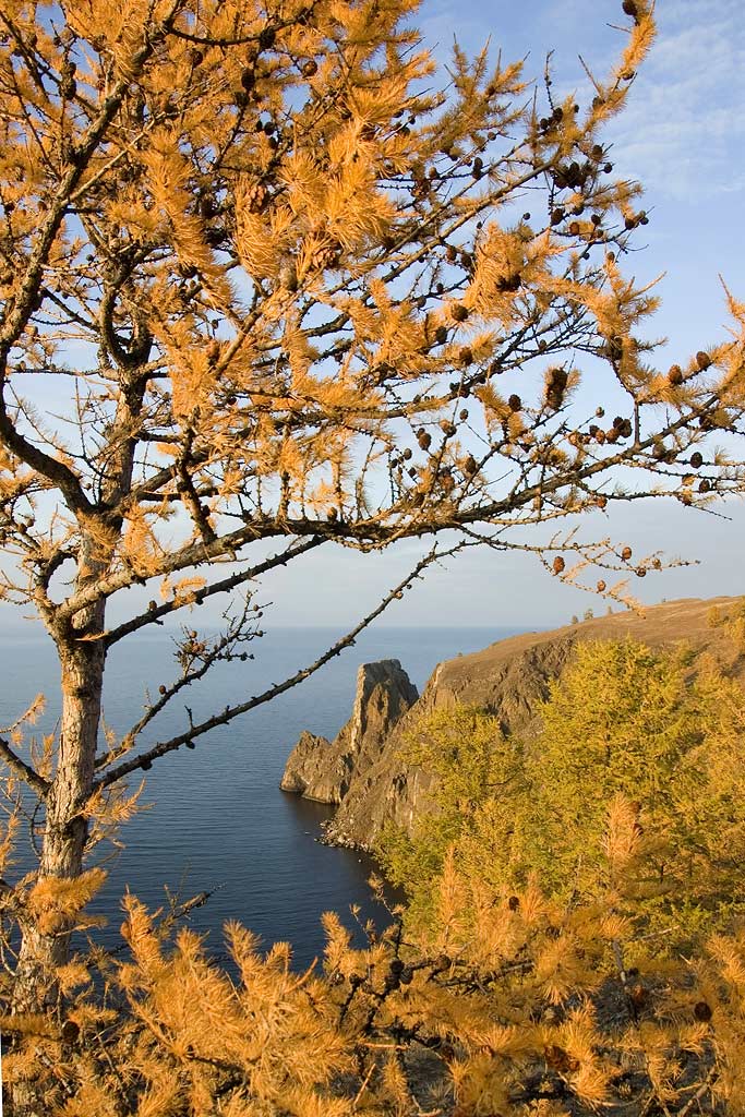 ����,�������� ���