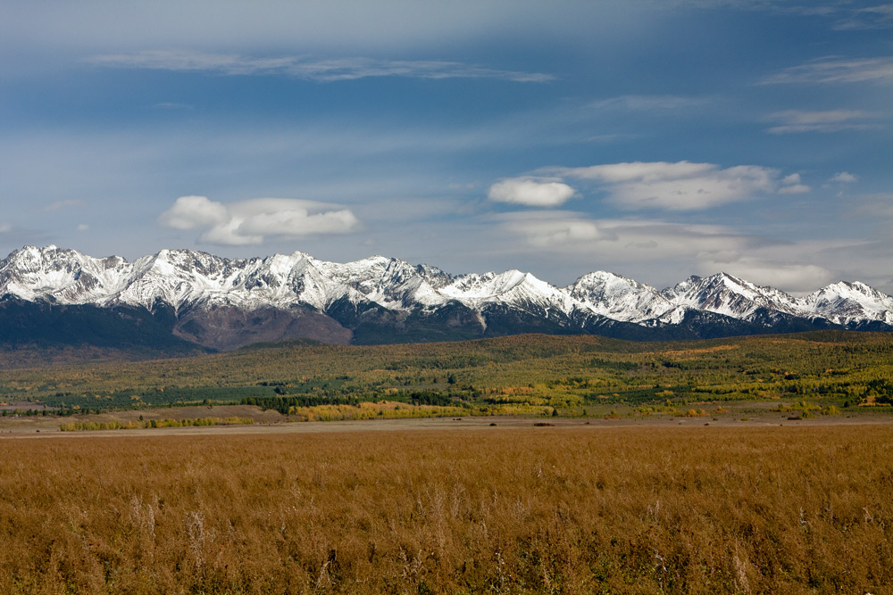 ����� ������ ������� �������...