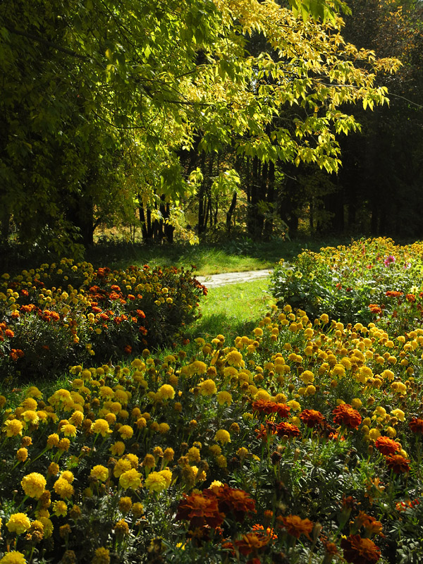 ������� �����-�����