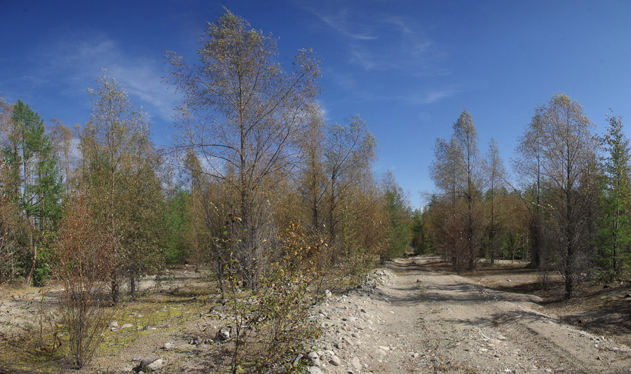 ������ � ����� ����