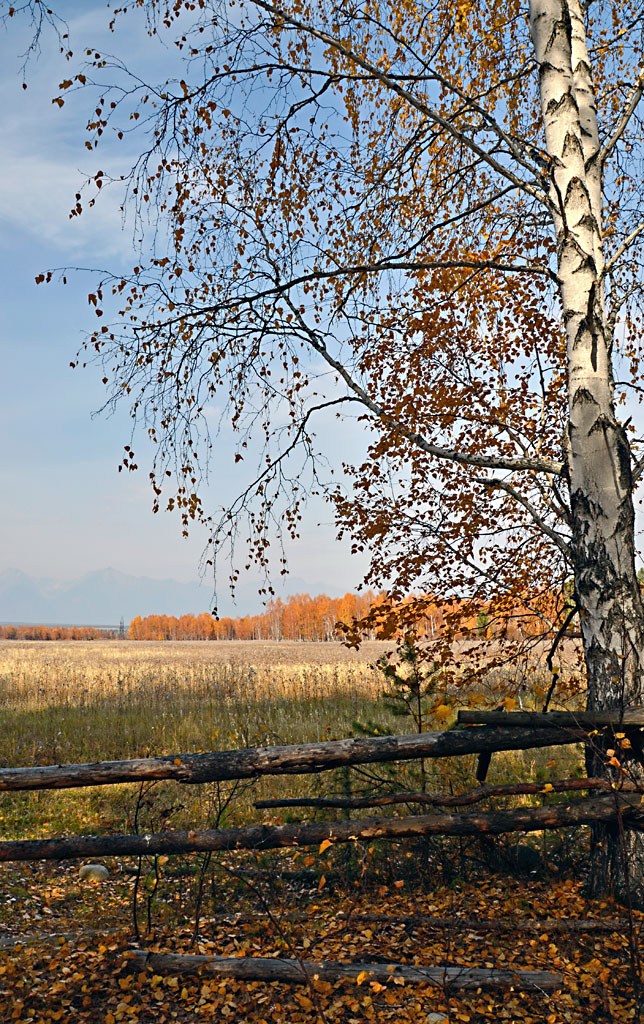 �������� ����