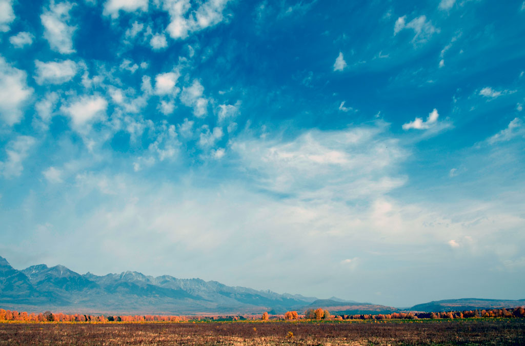 ������� ����