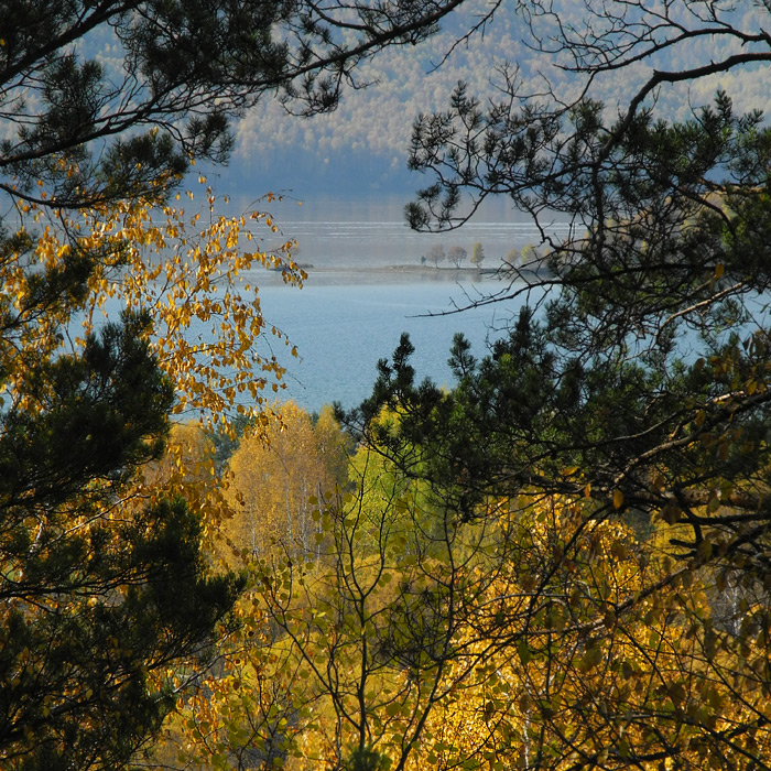 ���� �� ������