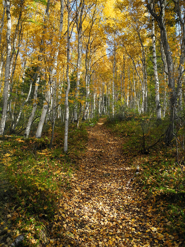 ����� ���������� � �����!