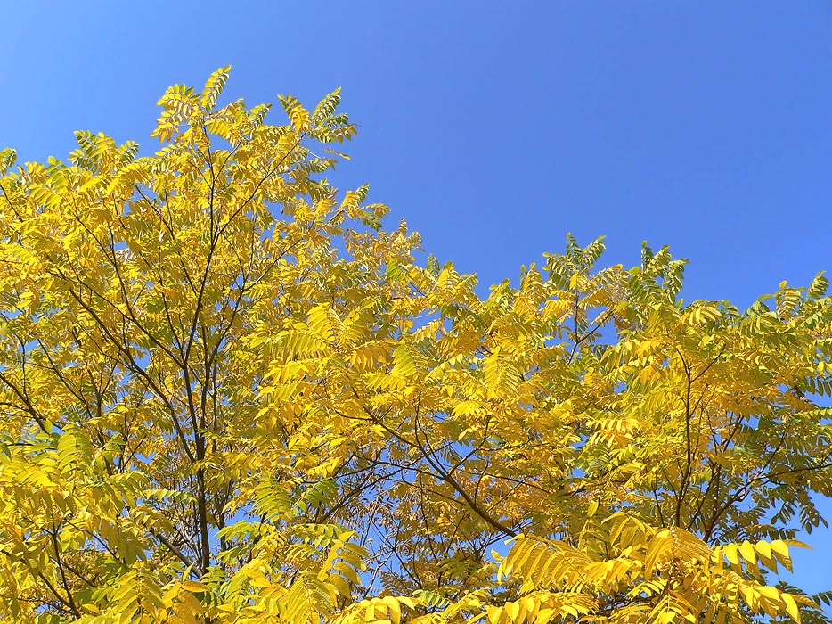 ...����� ������ ����� ������� �����, ����� ���� �������...