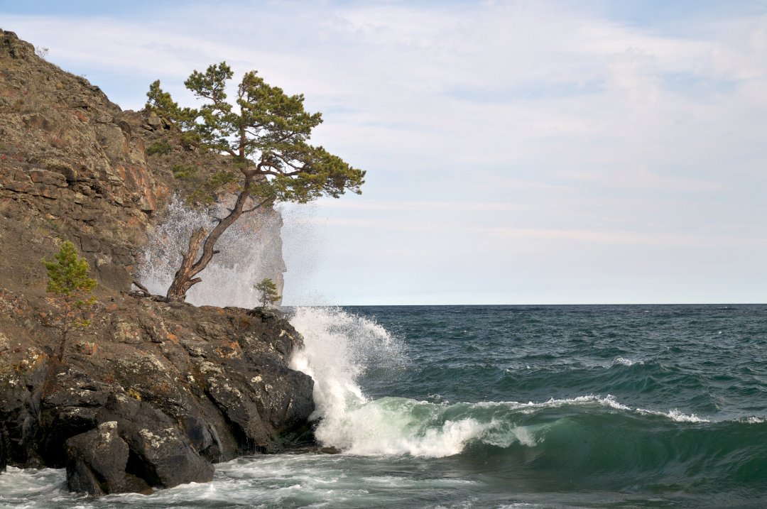 ����� � ������ ����� ����� � ������