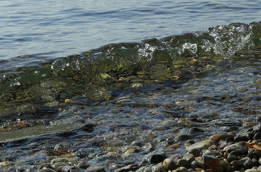 ��� ������� ��������