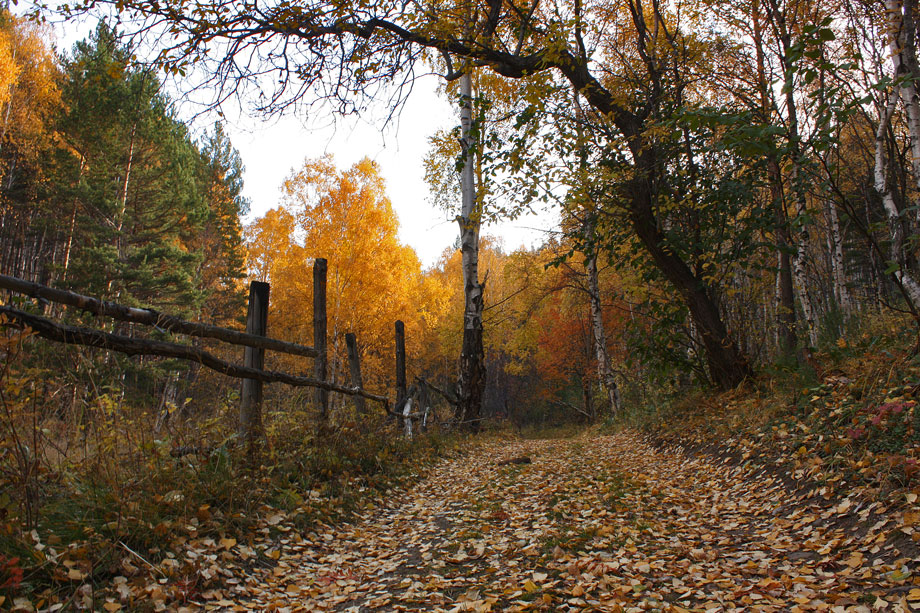 �������� �������.