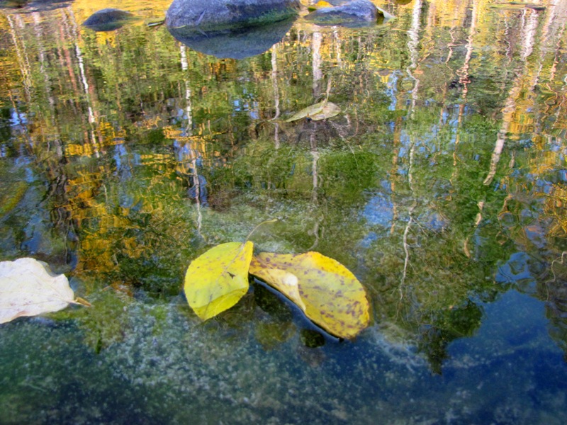 ������� ������ 