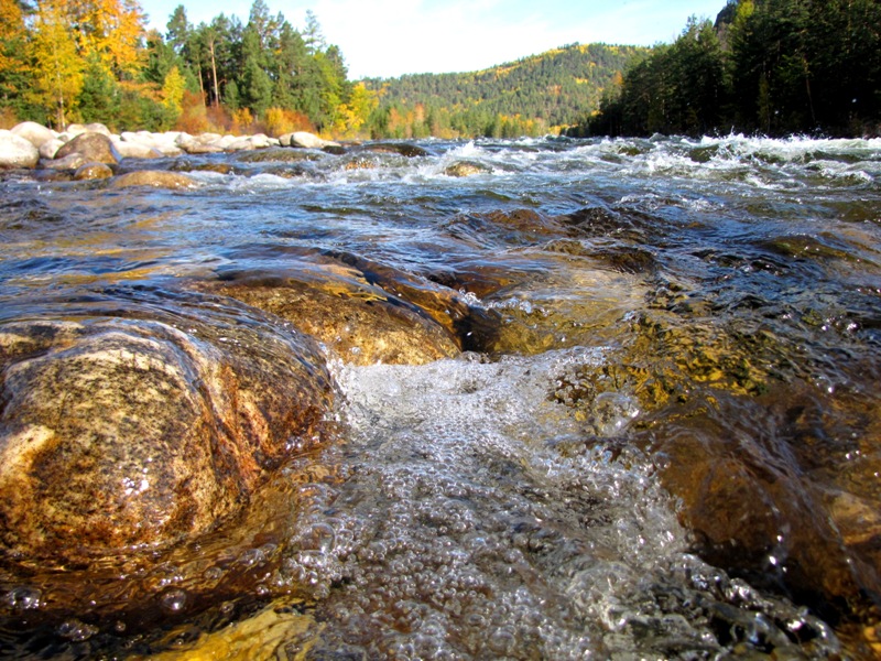 ������������ ������������������