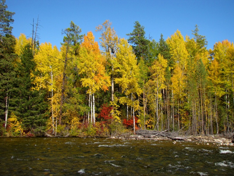 ������� ������ 