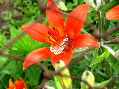 ����������?