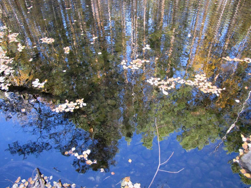 �������� ���������