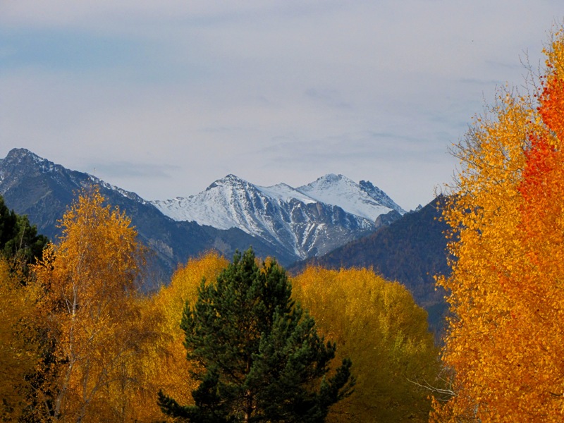 ���� � ��������� �����