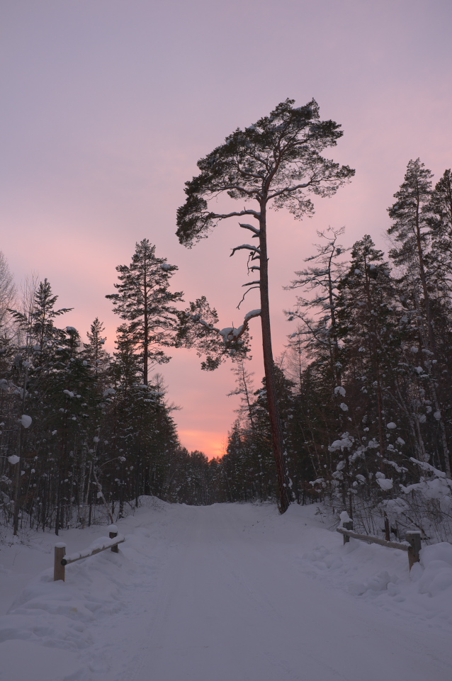 �� ������ � ��������