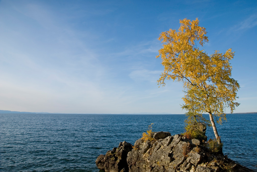 ����������� �����