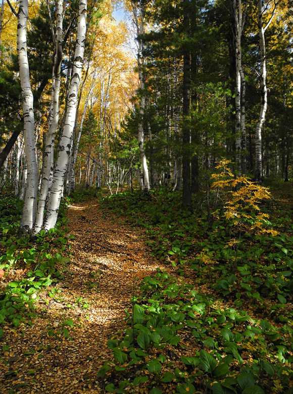 ������� ���. �����.