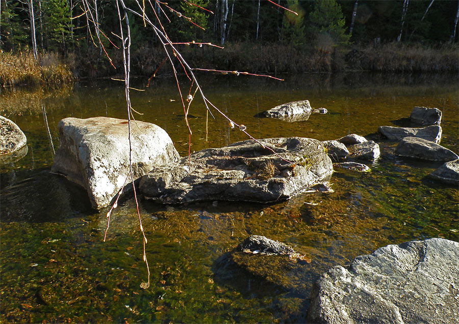 � ������ ��������� �����...