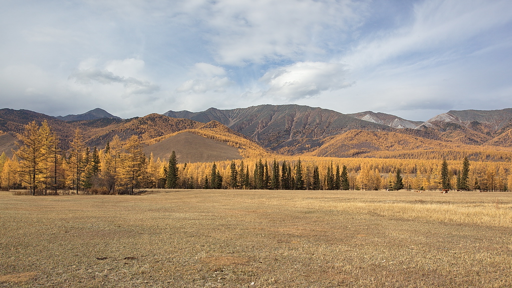 �������� � ������ ������� ������ (~10 ��. ���� �� ���. �� ������)