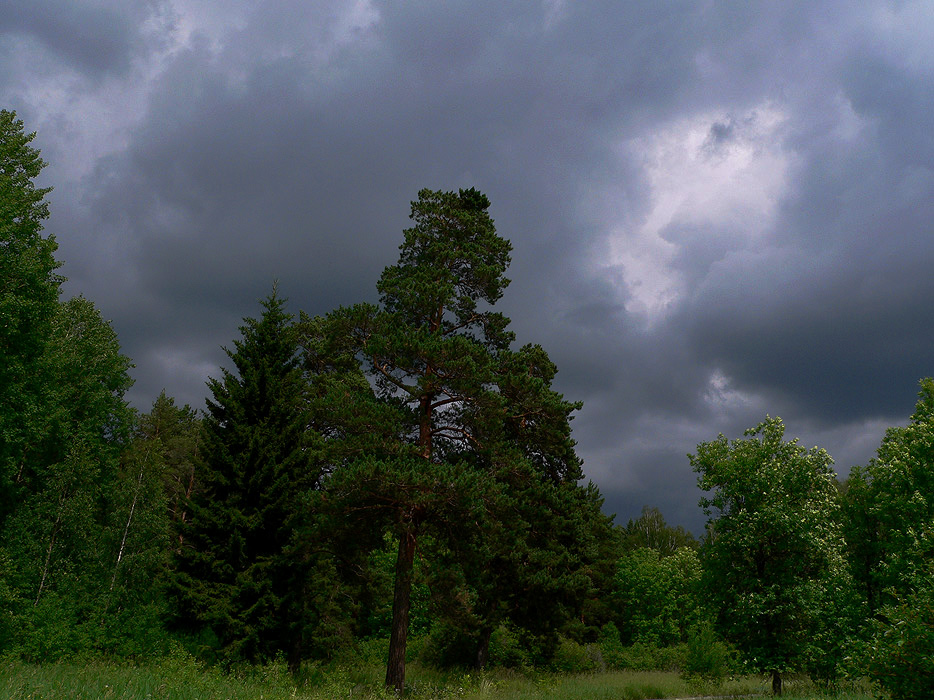 ������������ ����� 2