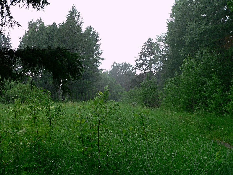 � ��� �� ��������