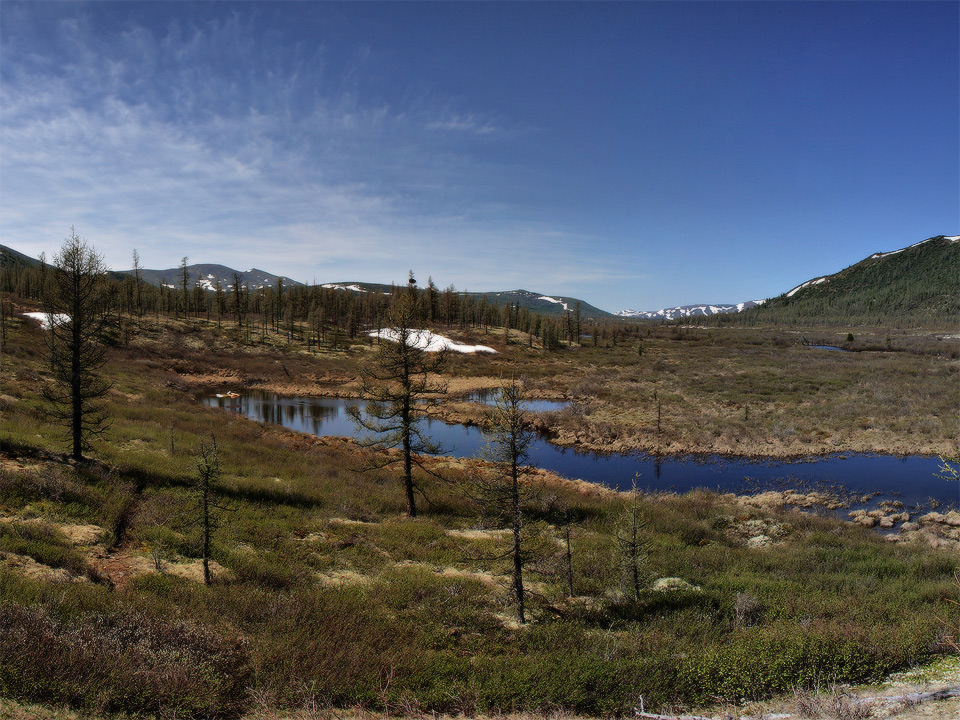 ��� �����