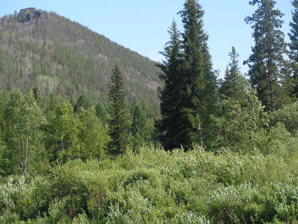 ��� �����