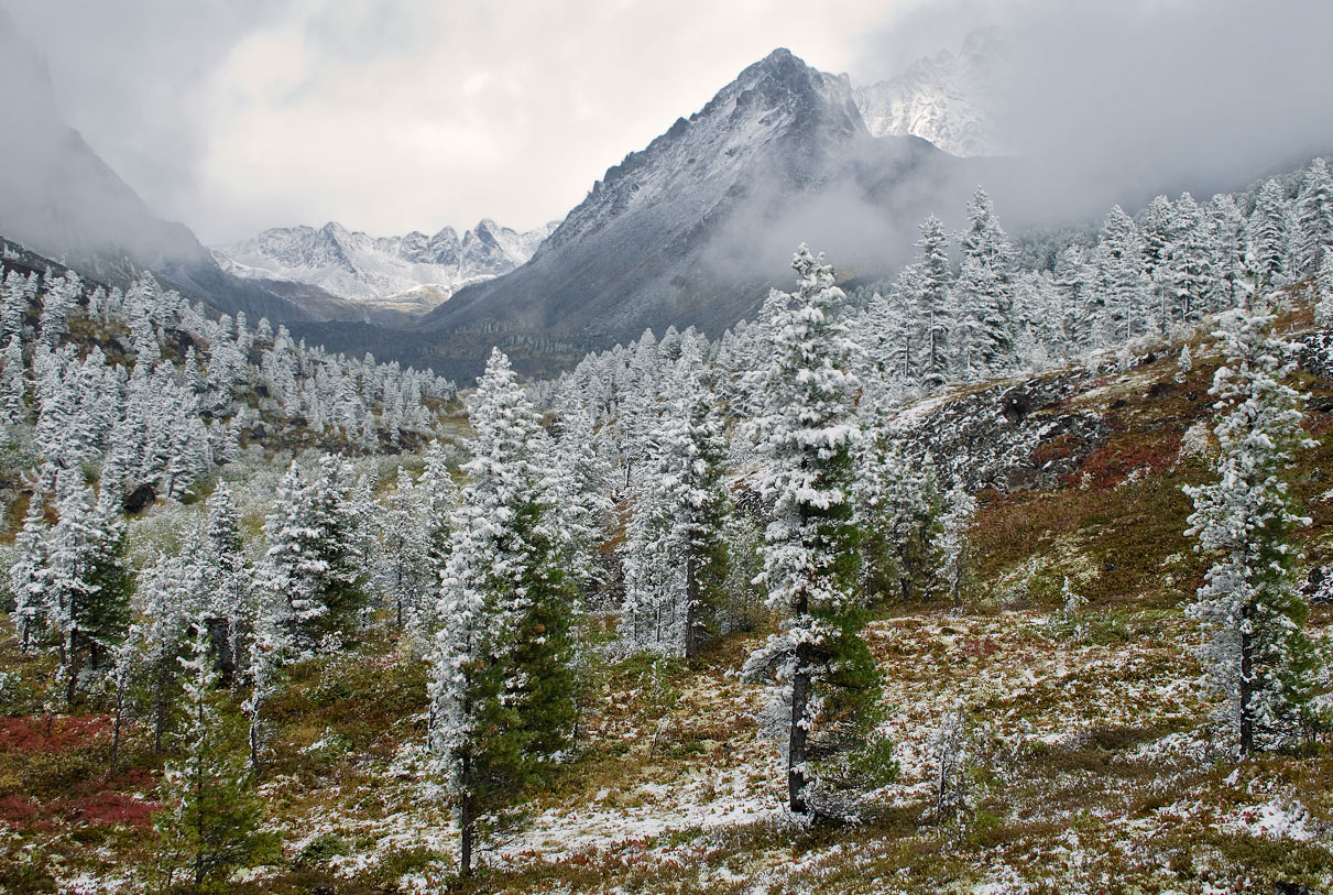 ������ ���-�������� (��� �� �������)