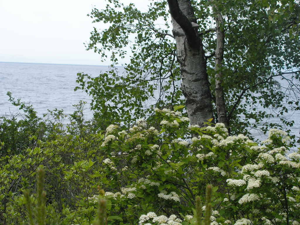 ����� ������....