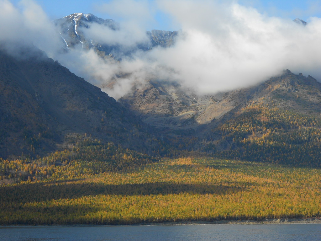 ������, ������...