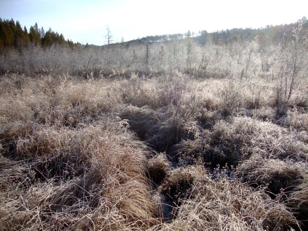 ������ �� ����� �� �����