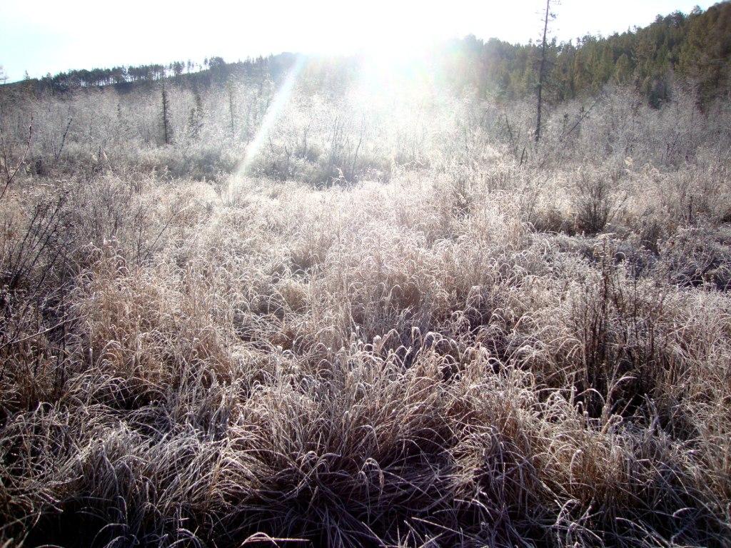 ������ ������� � ���� ������