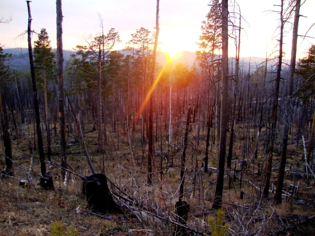 ���������� ���