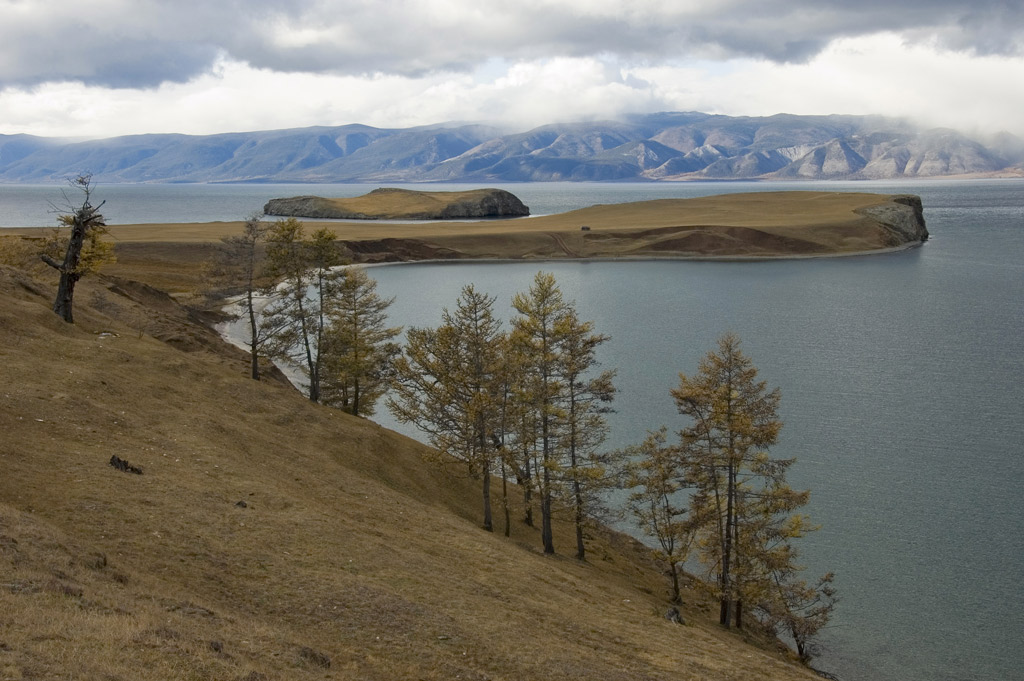 ������ ����� �����