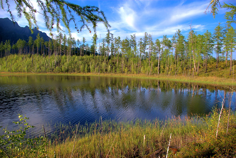 �������  ������ ���� ������