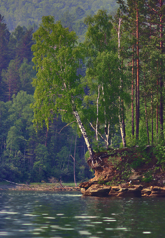 ����� ���������� �������������.