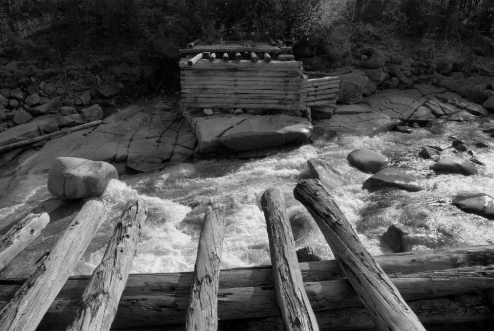 ������ ������ ���