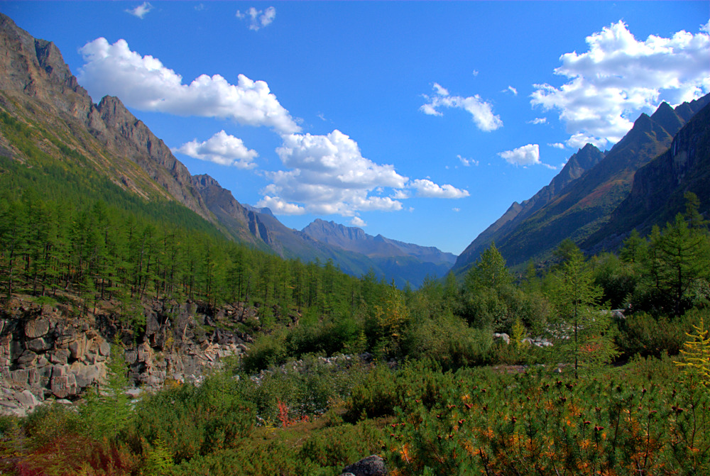 ����� ������ ��������