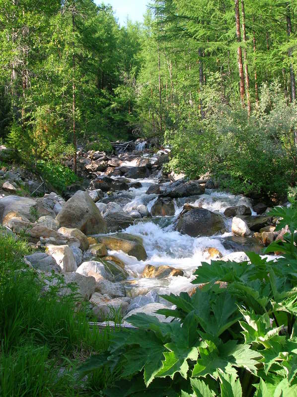 Река Аршан