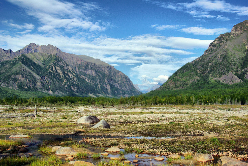 ���� � ������ �������� ��������