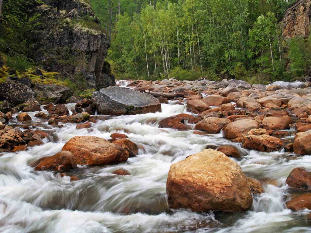 ���� ����